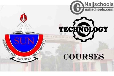 Spiritan University Courses for Technology Students