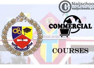 Thomas Adewumi University Courses for Commercial Students