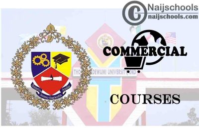 Thomas Adewumi University Courses for Commercial Students