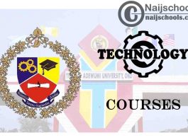 Thomas Adewumi University Courses for Technology Students