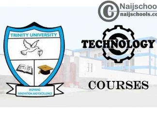 Trinity University Courses for Technology Students