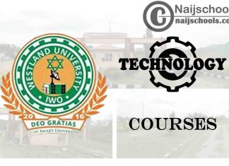 Westland University Courses for Technology Students