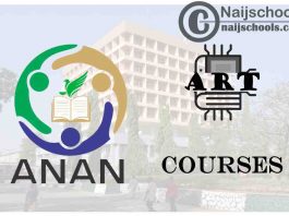 ANAN University Courses for Art Students