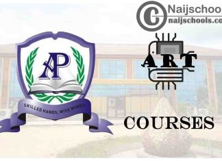 Ahman Pategi University Courses for Art Students