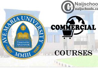 Ave Maria University Courses for Commercial Students