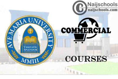 Ave Maria University Courses for Commercial Students 
