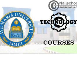 Ave Maria University Courses for Technology Students