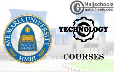 Ave Maria University Courses for Technology Students