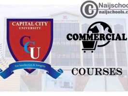 CCUK Courses for Commercial Students to Study