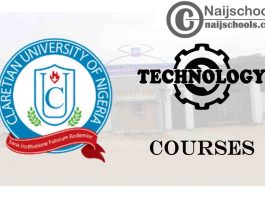 Claretian University Courses for Technology Students