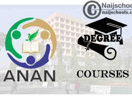 Degree Courses Offered in ANAN University