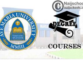 Degree Courses Offered in Ave Maria University