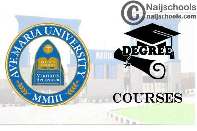 Degree Courses Offered in Ave Maria University