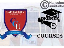 Degree Courses Offered in CCUK for Students