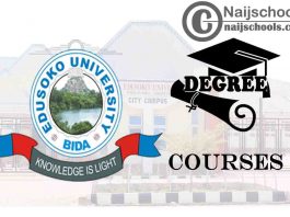 Degree Courses Offered in Edusoko University