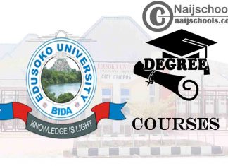 Degree Courses Offered in Edusoko University