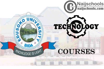 Edusoko University Courses for Technology Students