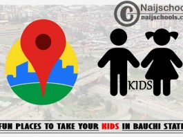 Fun Places to Take Your Kids in Bauchi State