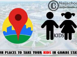 Gombe Kids Fun Places to Visit; Top 13 Places