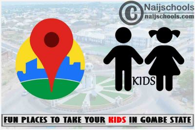 Gombe Kids Fun Places to Visit; Top 13 Places
