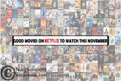 Watch Good Netflix November Movies; 15 Options