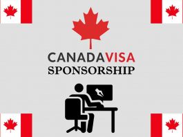 Canada Graphic Designer Visa Sponsorship Jobs 2023