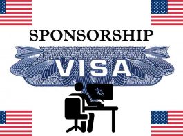 Graphic Designer Jobs in USA + Visa Sponsorship 2023