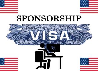 Graphic Designer Jobs in USA + Visa Sponsorship 2023