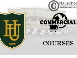 Havilla University Courses for Commercial Students