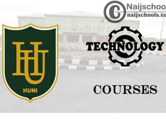 Havilla University Courses for Technology Students