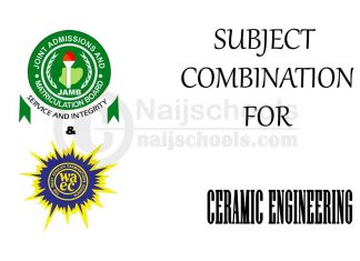 Subject Combination for Ceramic Engineering