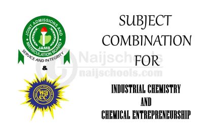Subject Combination for Industrial Chemistry and Chemical Entrepreneurship 