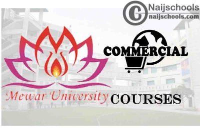 Mewar University Courses for Commercial Students