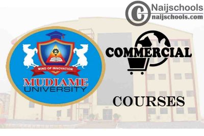 Mudiame University Courses for Commercial Students