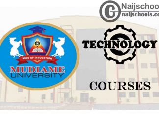 Mudiame University Courses for Technology Students