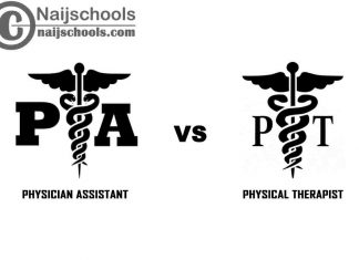 Physician Assistant vs Physical Therapist