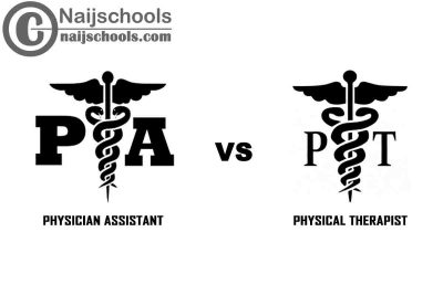 Physician Assistant vs Physical Therapist