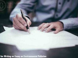 Environmental Pollution Essay Tips; Top 9 Tips