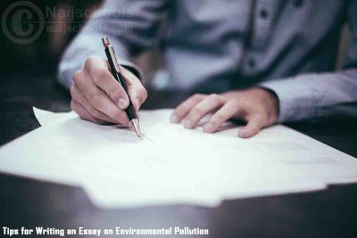 Environmental Pollution Essay Tips; Top 9 Tips