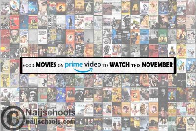 Watch Good Amazon Prime Video November Movies; 15 Options