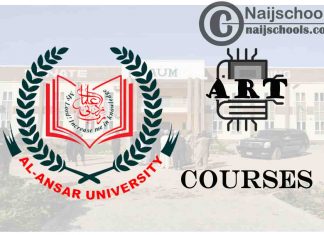 Al-Ansar University Courses for Art Students