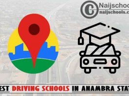 Best Anambra State Driving Schools Near You; Top 23 Schools