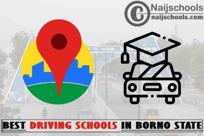 Best Borno State Driving Schools Near You; Top 6 Schools