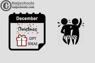 13 December 2022 Birthday Gifts to Buy for Twins
