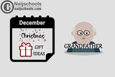 13 Christmas Holiday 2022 Gifts to Buy for Your Grandfather