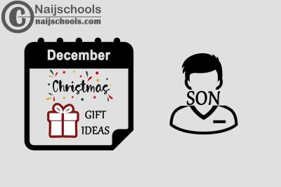 13 Christmas Holiday 2022 Gifts to Buy for Your Son