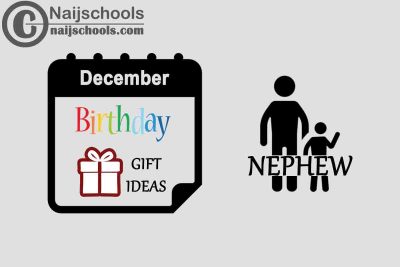 13 December Birthday Gifts to Buy for Your Nephew