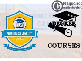 Degree Courses Offered in Pen Resource University