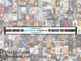 Watch Good Amazon Prime Video December Movies; 13 Options