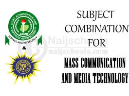 Subject Combination for Mass Communication and Media Technology
